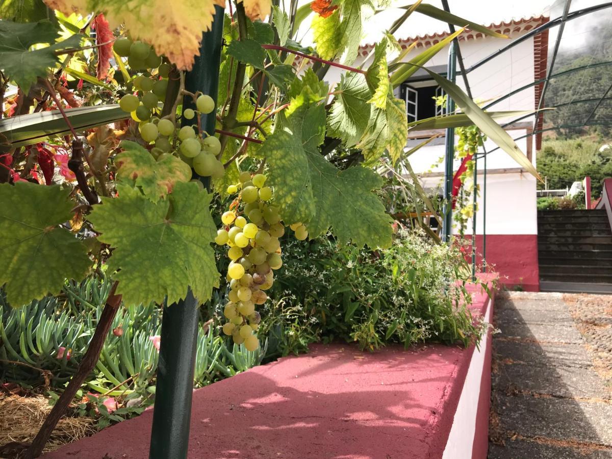 Casa Oliveira Esmeraldo - Guest Houses São Vicente 외부 사진