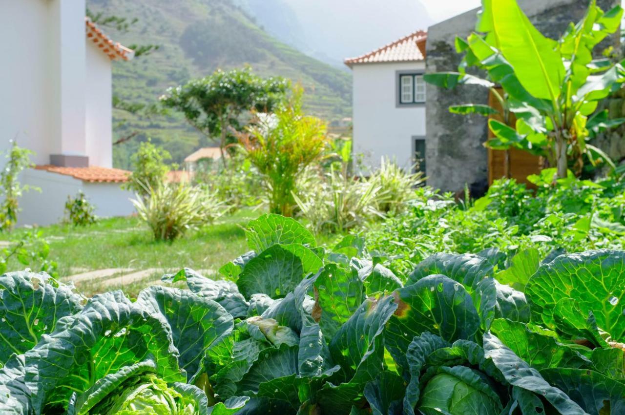 Casa Oliveira Esmeraldo - Guest Houses São Vicente 외부 사진